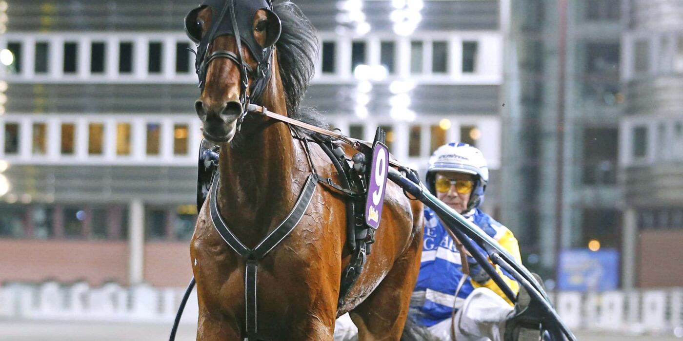 ANDELSTIPSET &#8211; V86