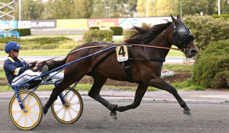 Milligan’s School klar för Elitloppet