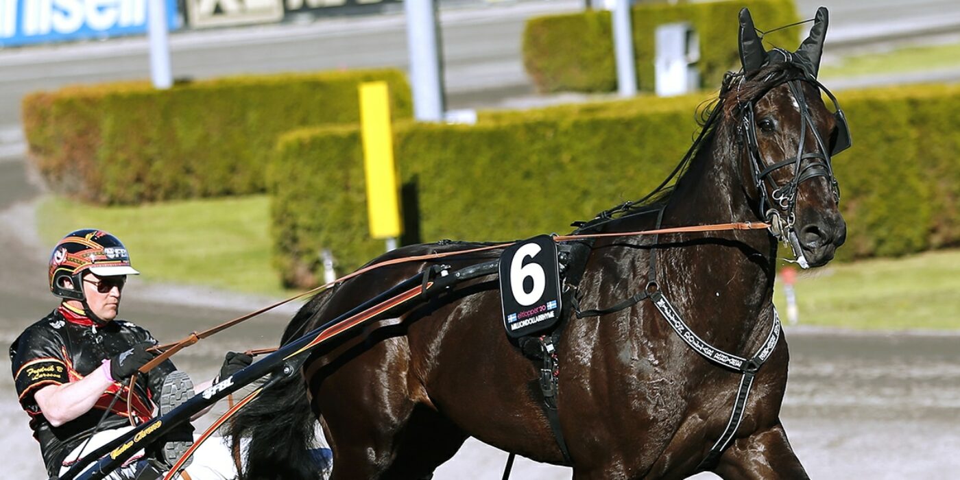 MILLIONDOLLARRHYME KLAR FÖR ELITLOPPET 2021