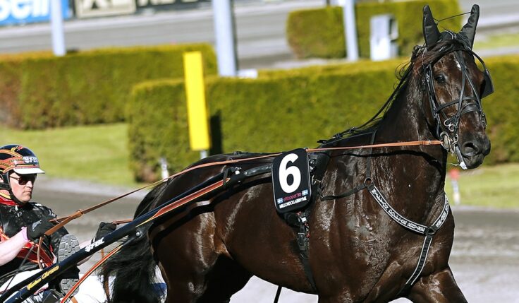 MILLIONDOLLARRHYME KLAR FÖR ELITLOPPET 2021