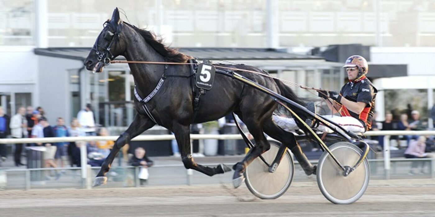 Fredrik B:s jättelöfte skrällvann Breeders Crown