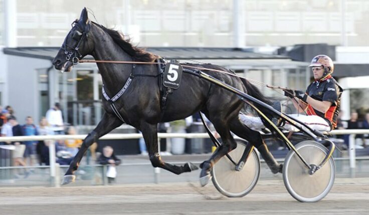 Fredrik B:s jättelöfte skrällvann Breeders Crown