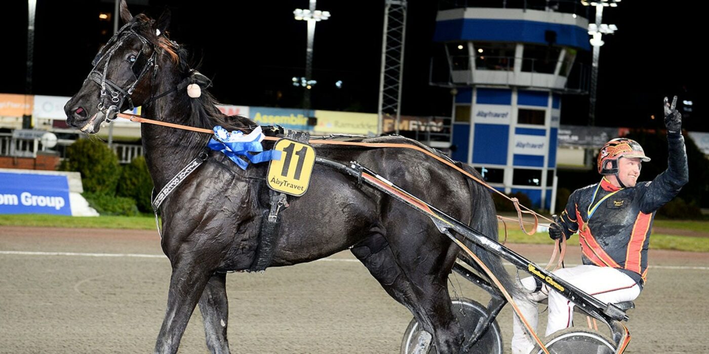 ANDELSTIPSET &#8211; V75