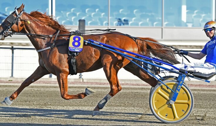 MONI VIKING KLAR FÖR ELITLOPPET 2021