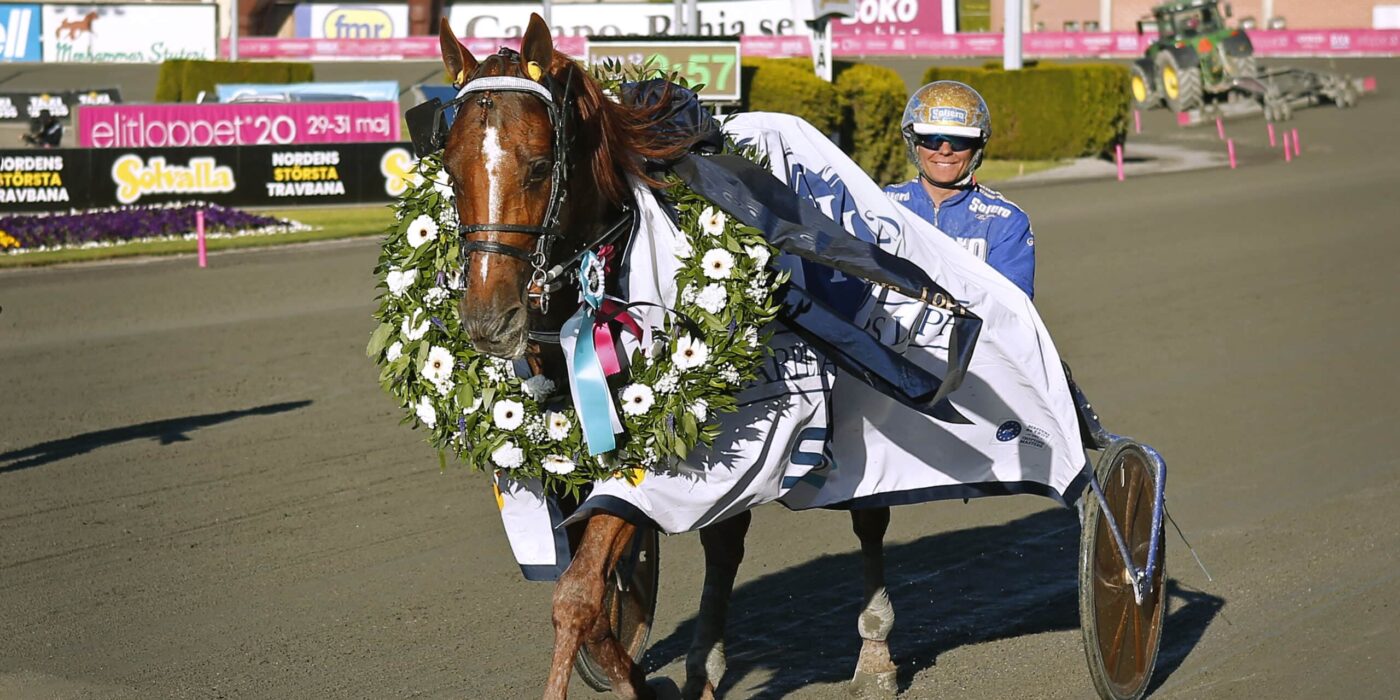 ANDELSTIPSET &#8211; V75