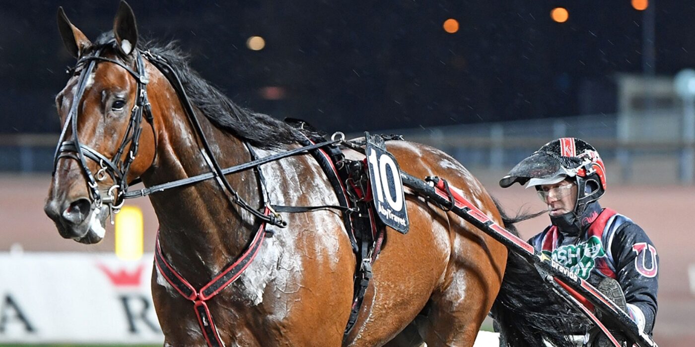 ANDELSTIPSET &#8211; V75