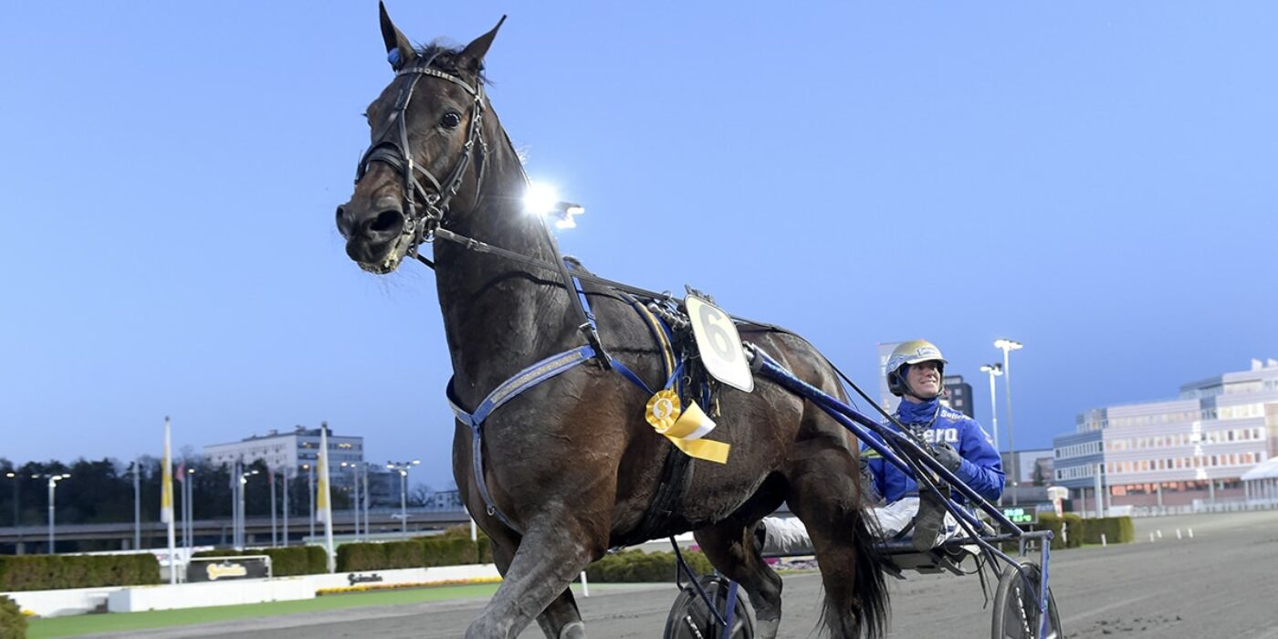 SEEDNINGEN KLAR MEADOW ROADS LOPP