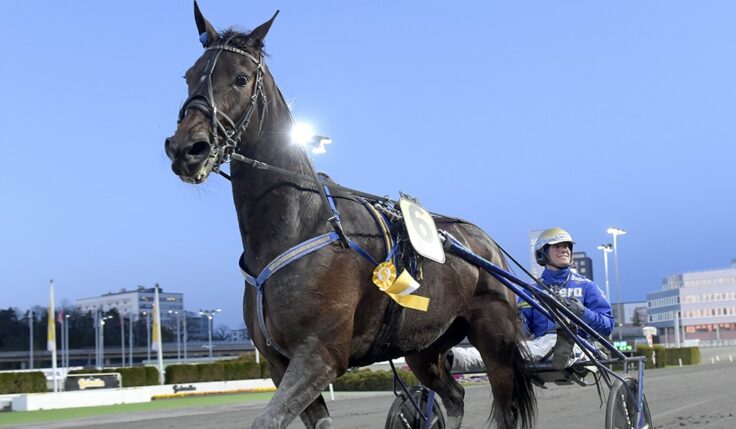 SEEDNINGEN KLAR MEADOW ROADS LOPP