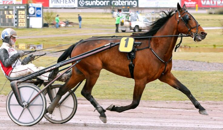 Next Direction inbjuden till Elitloppet