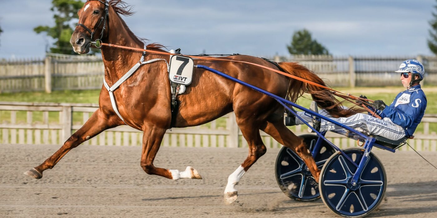 ANDELSTIPSET &#8211; V75