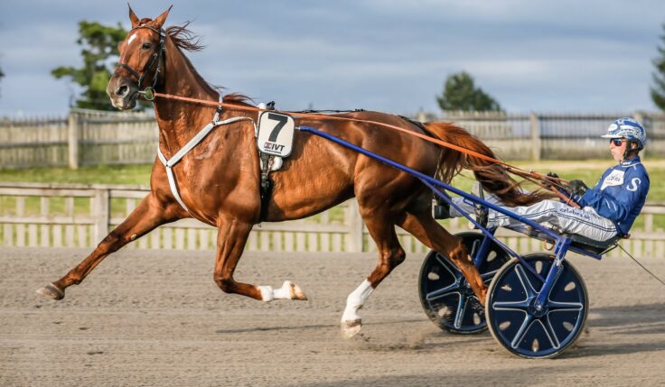 ANDELSTIPSET – V75