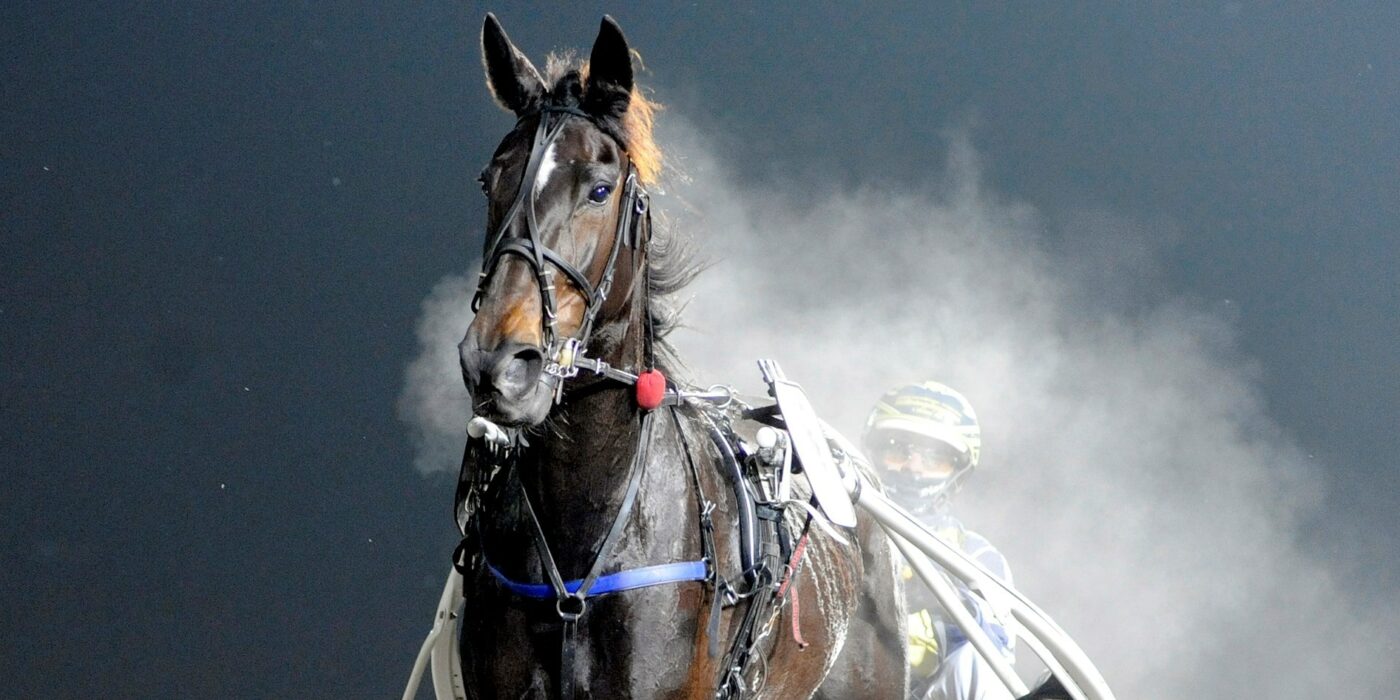 ANDELSTIPSET &#8211; V86