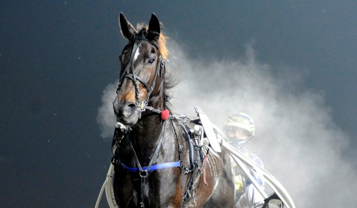 ANDELSTIPSET &#8211; V86