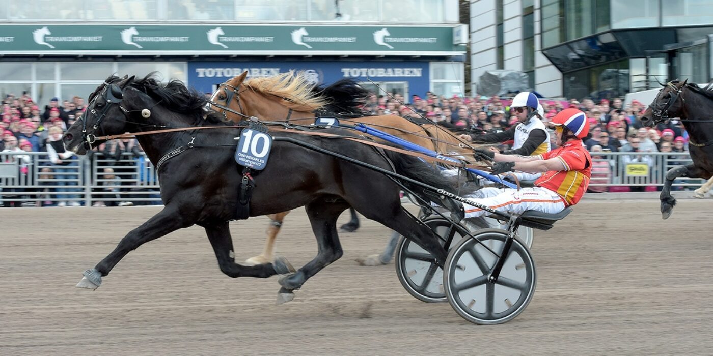ODD HERAKLES TOG TREDJE RAKA SEGERN I ELITKAMPEN