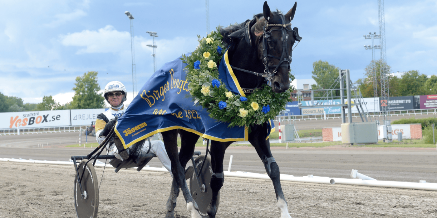 PLANEN FÖR ÖNAS PRINCE