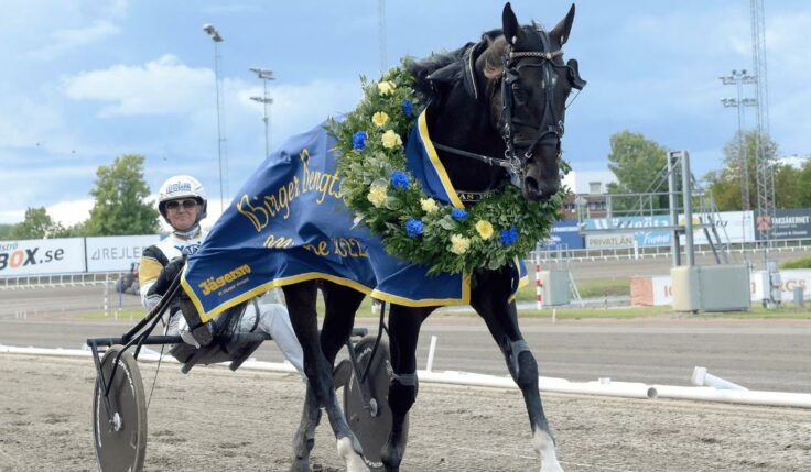 PLANEN FÖR ÖNAS PRINCE