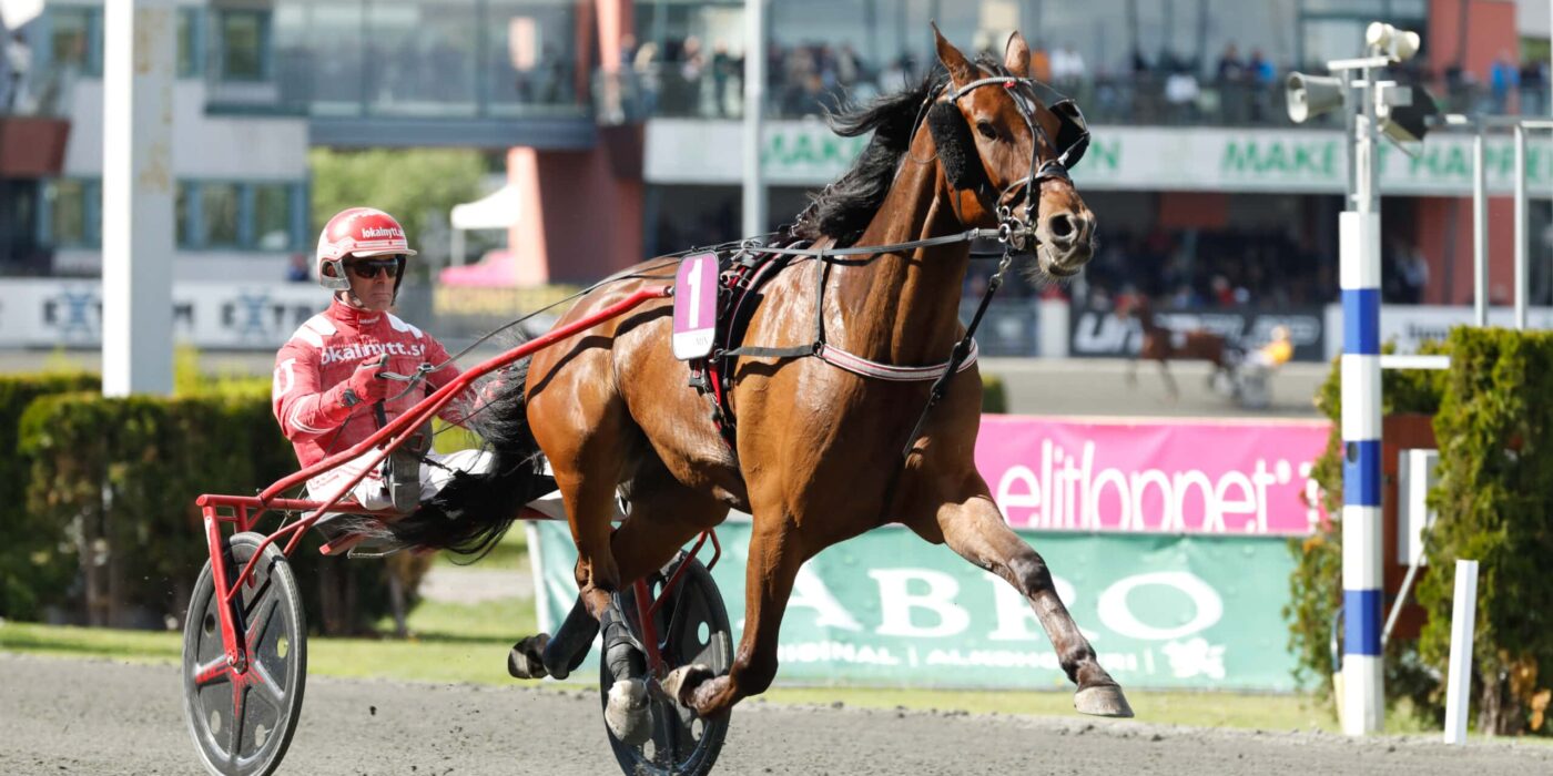 ANDELSTIPSET &#8211; V75