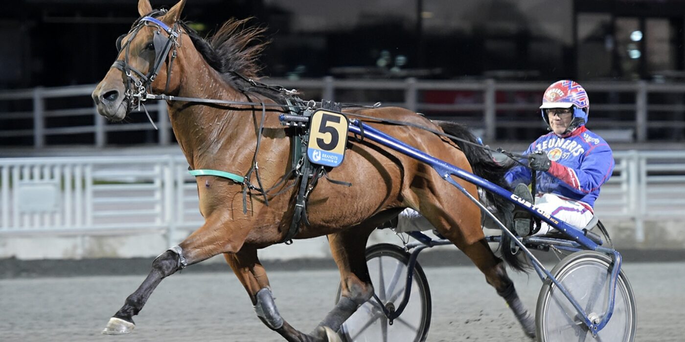 ANDELSTIPSET &#8211; V86