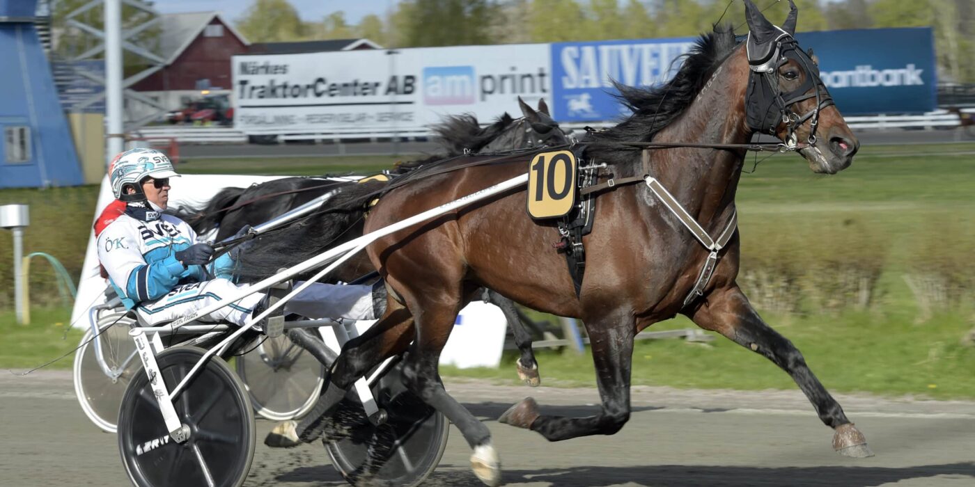 ANDELSTIPSET &#8211; V86