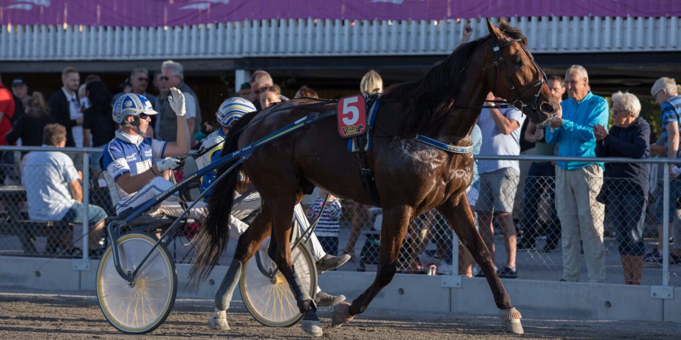 ANDELSTIPSET &#8211; V86