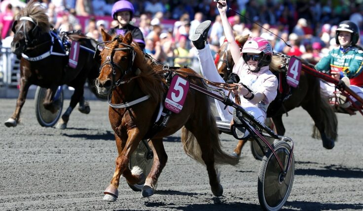 Vinnaren av Prins Daniels lopp får sällskap till Solvalla!