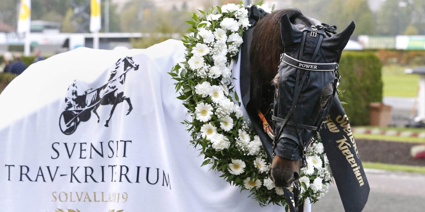 ANDELSTIPSET &#8211; V75