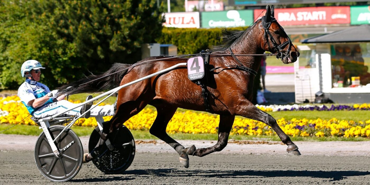 Propulsion till Elitloppet 2019