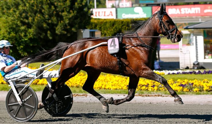 Propulsion till Elitloppet 2019