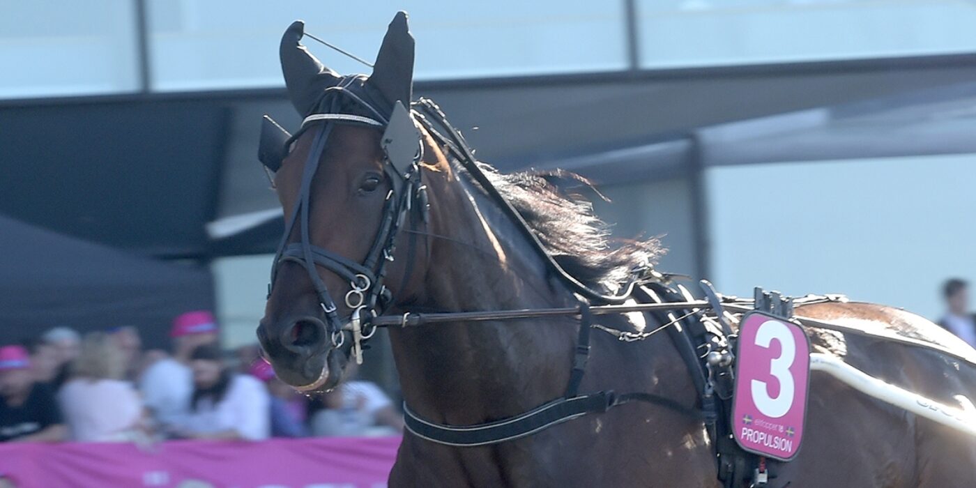 PROPULSION KLAR FÖR ELITLOPPET 2020
