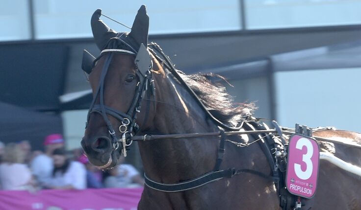 PROPULSION KLAR FÖR ELITLOPPET 2020