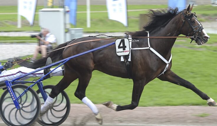 RACING MANGE KLAR FÖR ELITLOPPET 2020