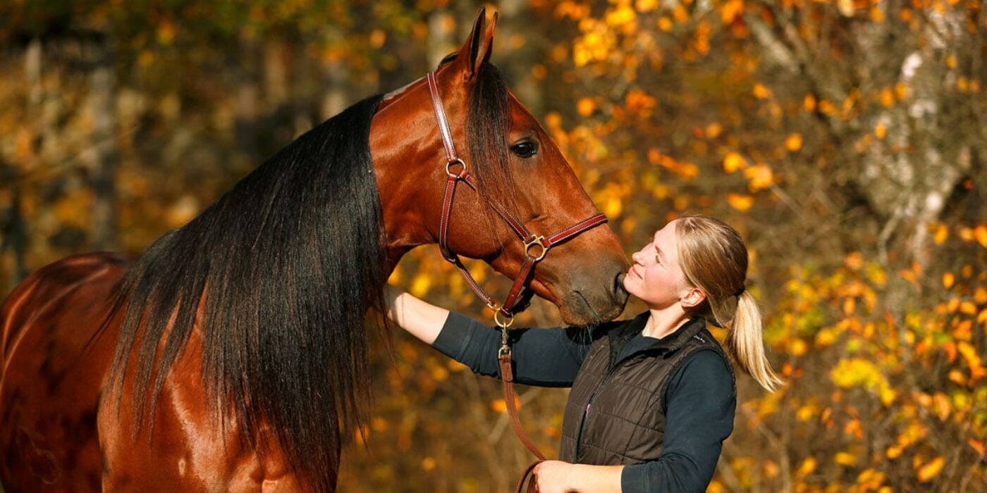 Readly Express hedras med eget lopp på Solvalla