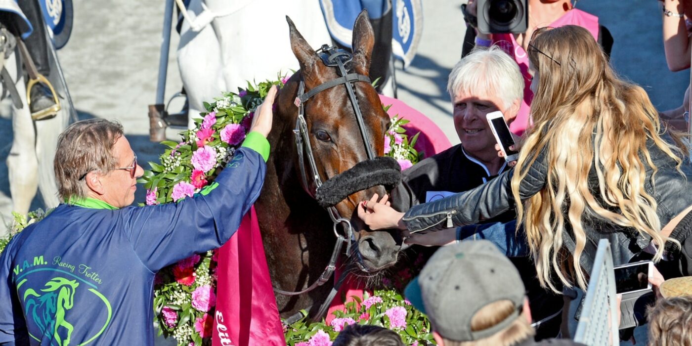 Elitloppsintresset har ökat med 57 procent