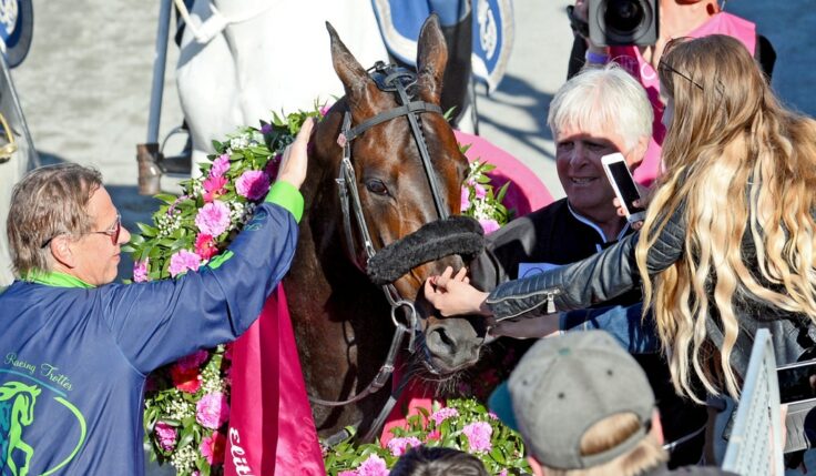 Elitloppsintresset har ökat med 57 procent
