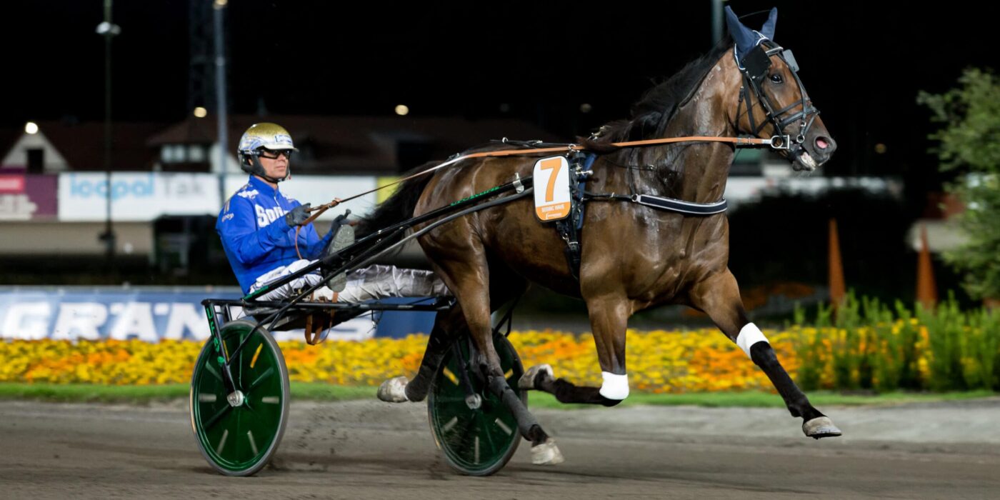 ANDELSTIPSET &#8211; V75