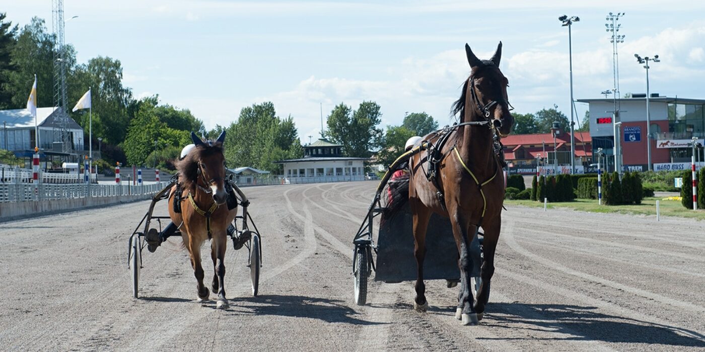 ANDELSTIPSET &#8211; V75