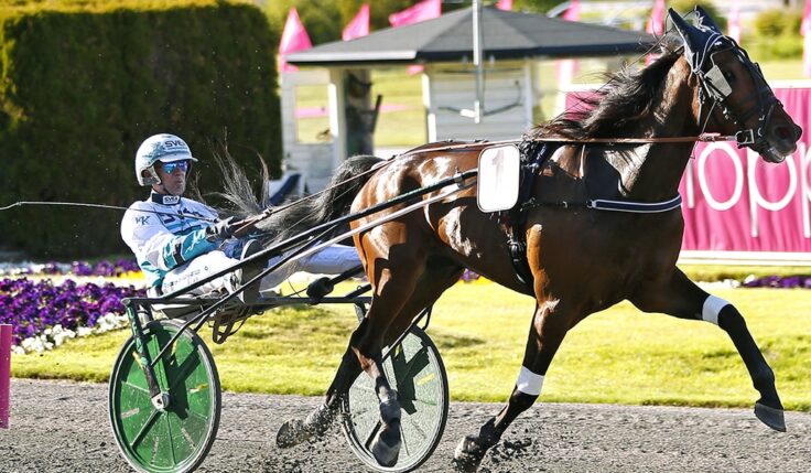 SEISMIC WAVE KLAR FÖR ELITLOPPET 2021
