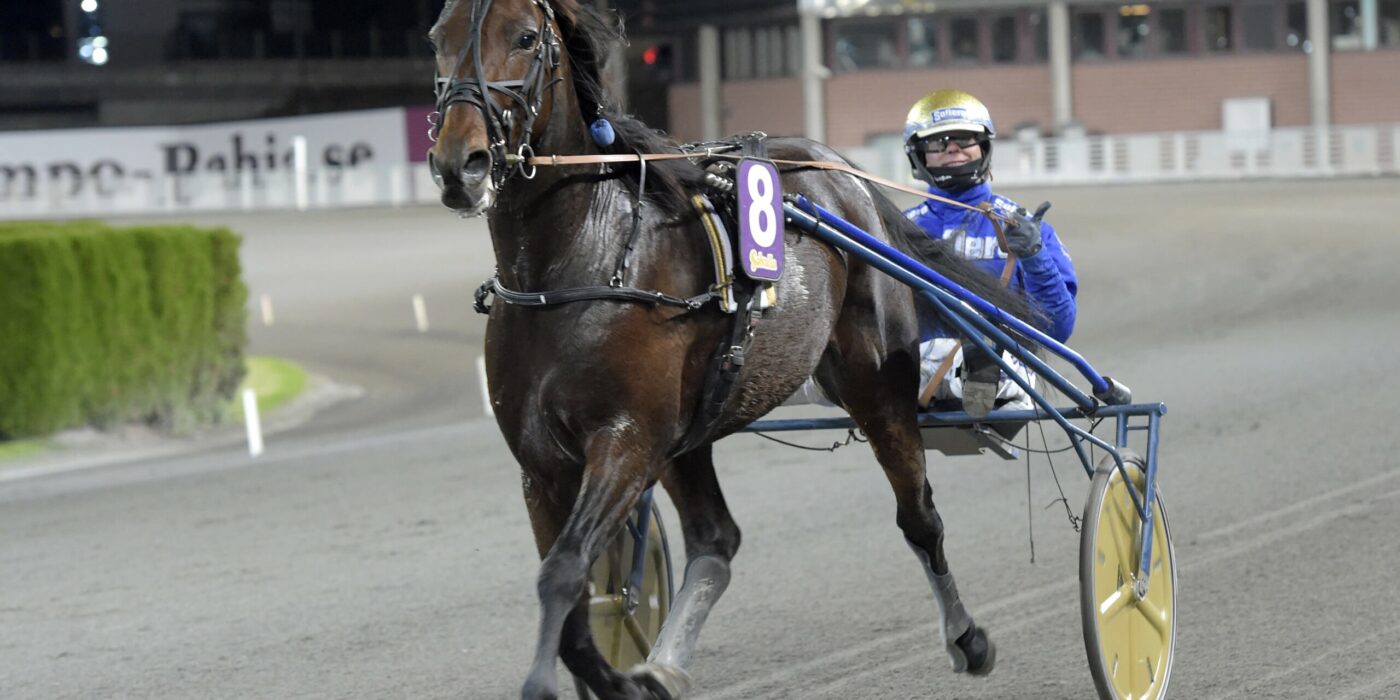 ANDELSTIPSET &#8211; V86