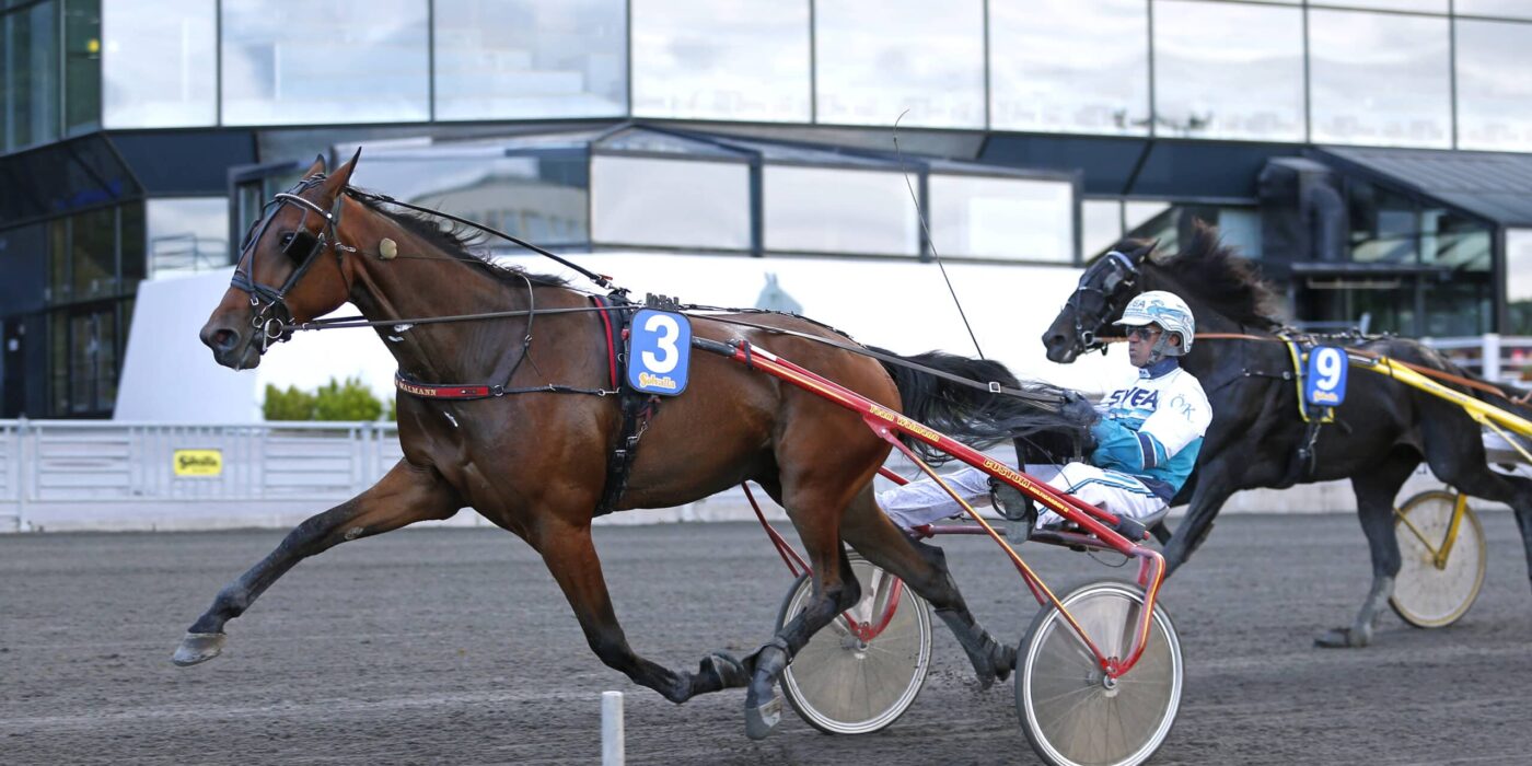 ANDELSTIPSET &#8211; V86