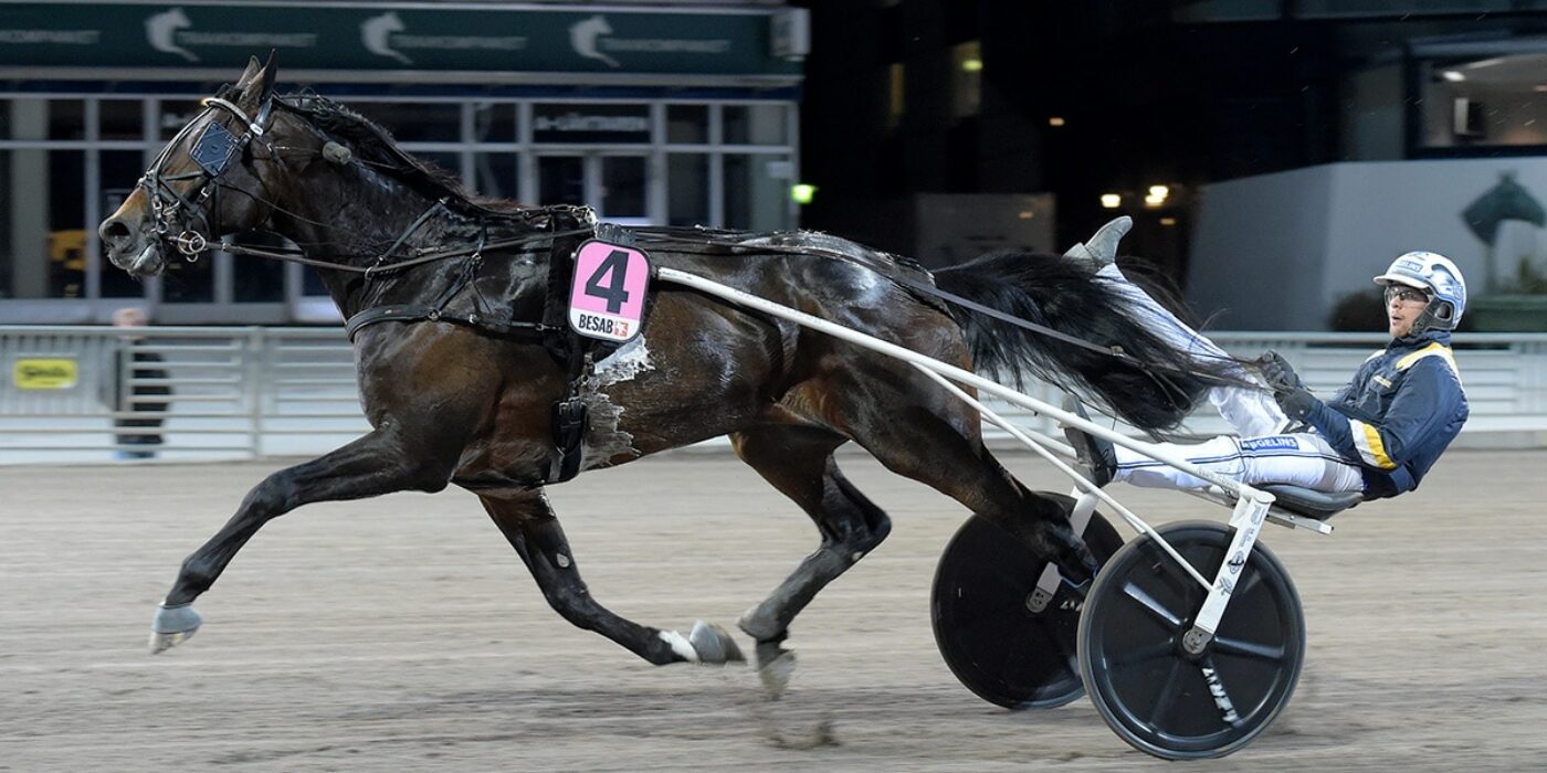 SNOWSTORM HANOVER KLAR FÖR ELITLOPPET 2022