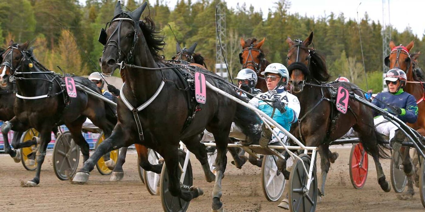 Sorbet klar för Elitloppet &#8211; Redén får med kvartet