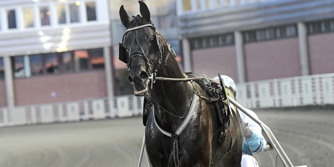 SORBET KLAR FÖR ELITLOPPET 2020