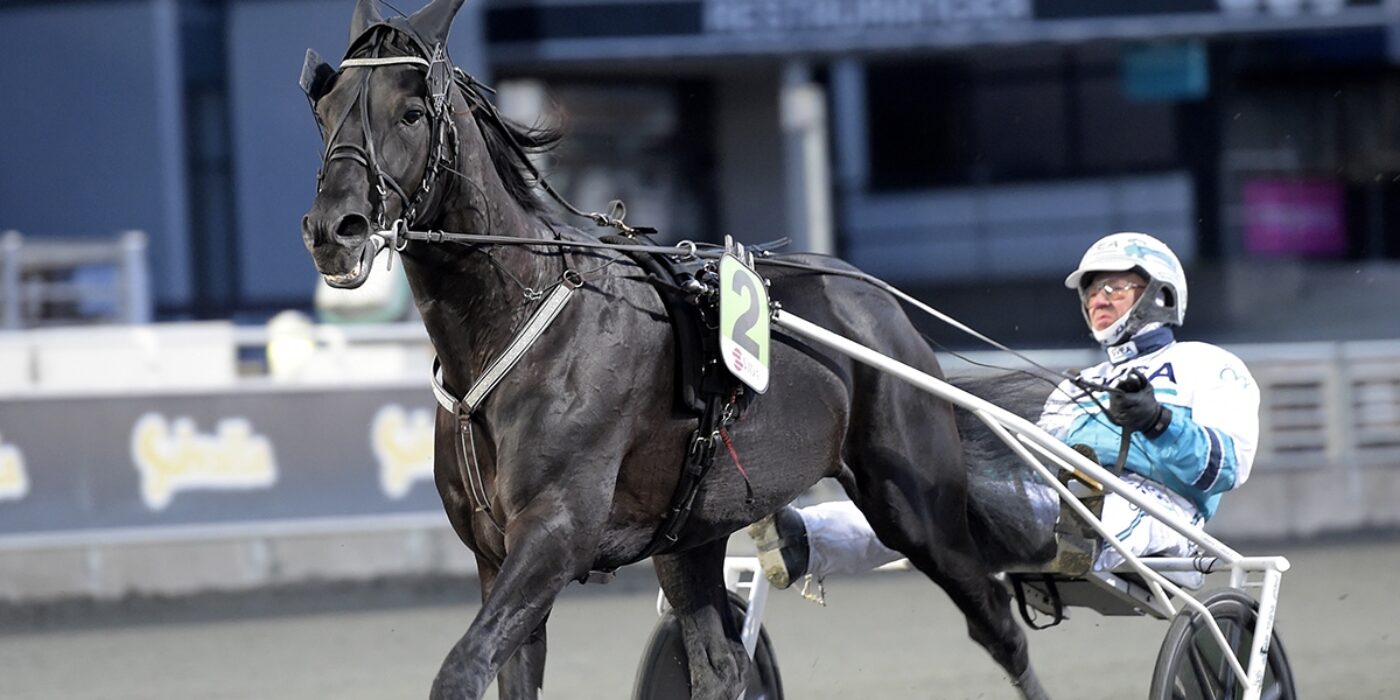 ANDELSTIPSET &#8211; V75