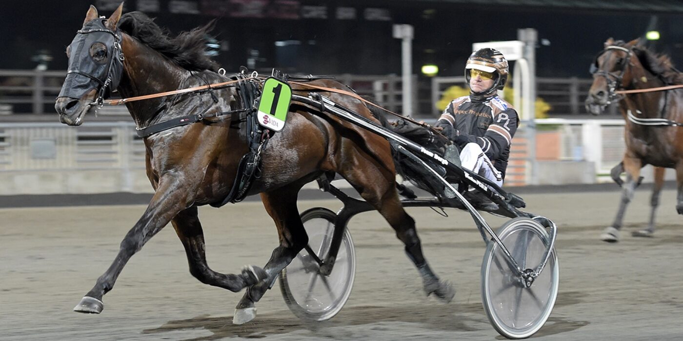 ANDELSTIPSET &#8211; V75