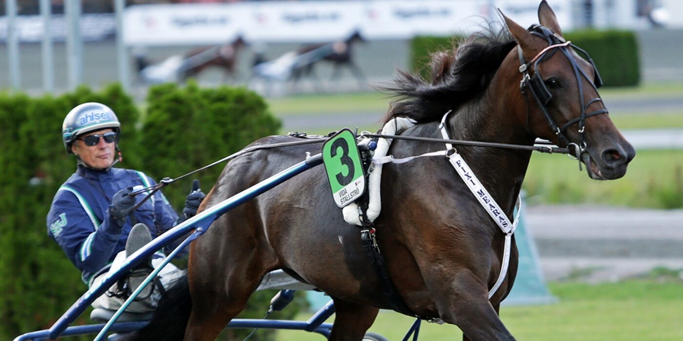 HALLÅ DÄR STIG H JOHANSSON&#8230;