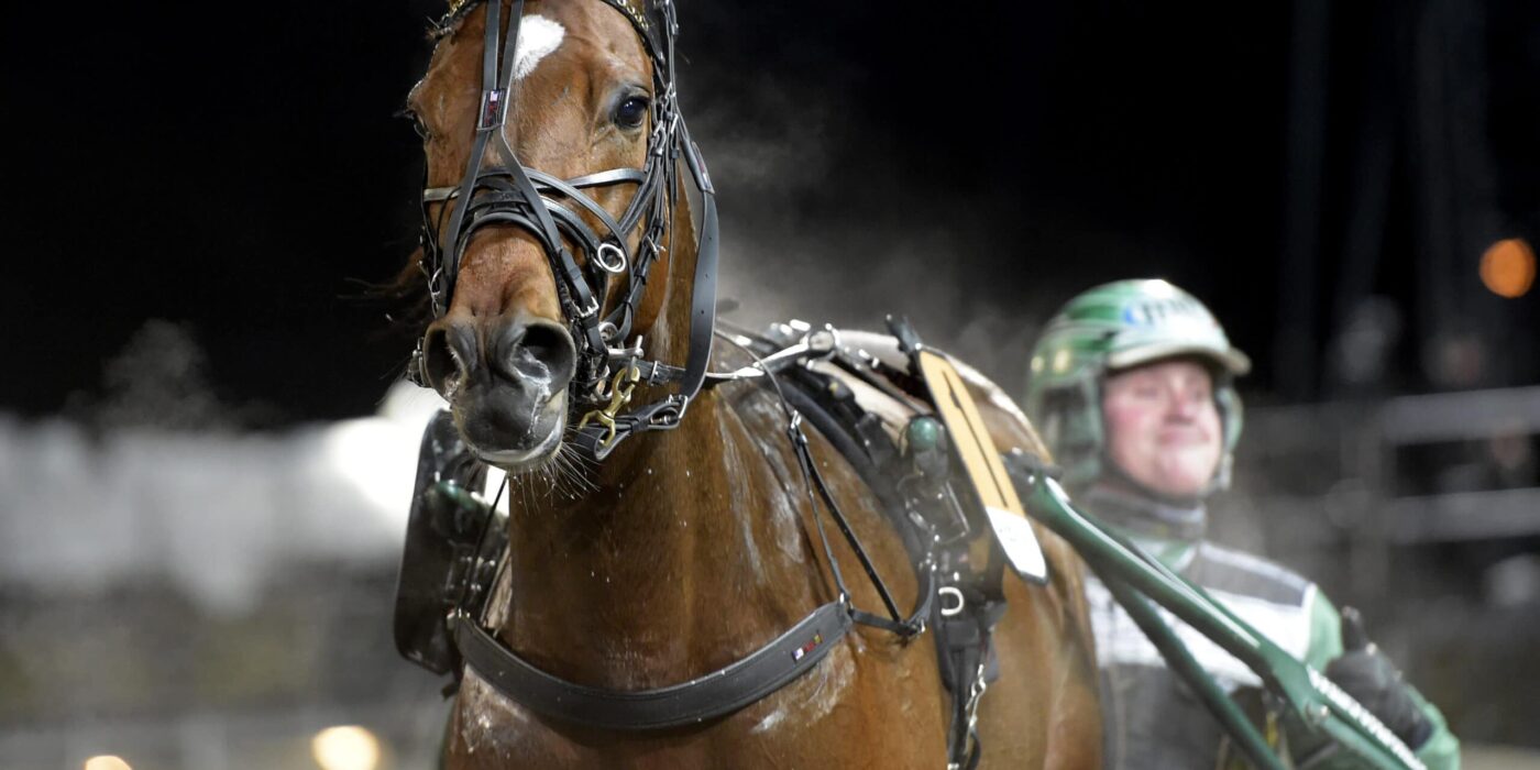 ANDELSTIPSET &#8211; V86