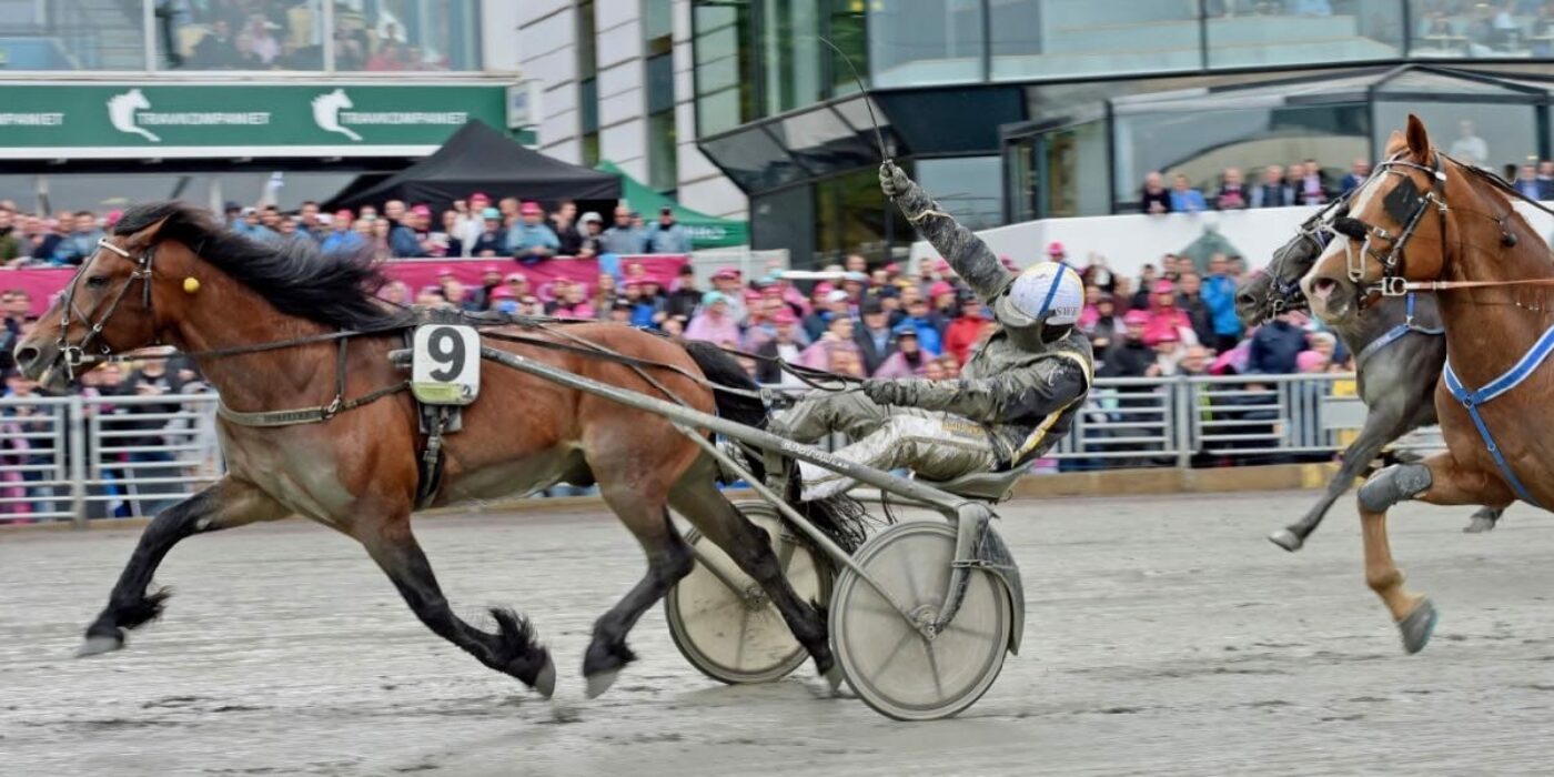 ​Tangen Haap vinnare i Elitkampen