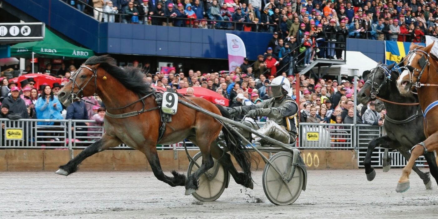 TRE FÖRSTA HÄSTARNA KLARA FÖR ELITKAMPEN