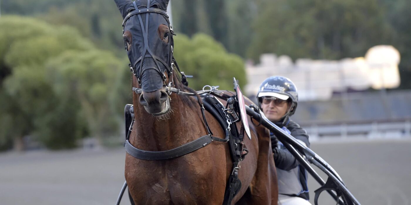 ANDELSTIPSET &#8211; V75