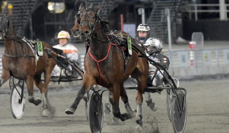V86: Fortsatt form på stall Sundberg